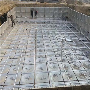 合肥市肥西縣科技學(xué)院